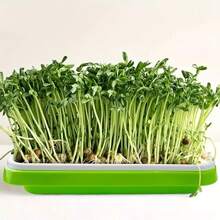 1 件裝家用水培發芽托盤豆芽種植盤適用於小麥草、豆芽或無土蔬菜 - 綠色 - 查看 1