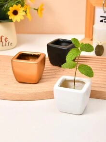 1 件創意方形多肉植物陶瓷花盆,可愛卡通設計,桌面裝飾微型花盆 - 金色 - 查看 2