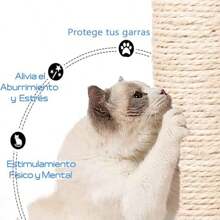 ANTSAY Árbol para Gatos,Tres Capas Torre para Gatos,Varios Niveles con Postes Rascadores de Sisal, Centro de Actividades,Juguete para Ratones,Casa de Juegos para Gatitos,Mueble para Gato.