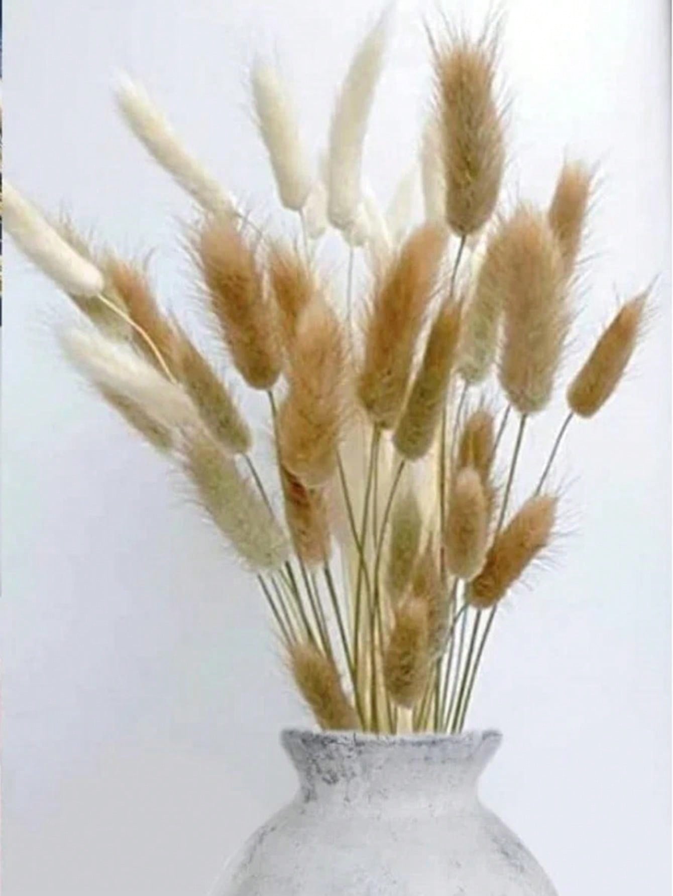 Bouquet De Fleurs Séchées En Queue De Lapin, 60 Pièces, Lagurus Naturel Ovatus Pampas
