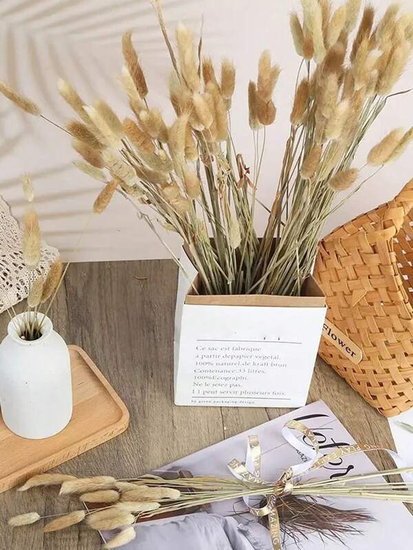 Bouquet De Fleurs Séchées En Queue De Lapin, 60 Pièces, Lagurus Naturel Ovatus Pampas