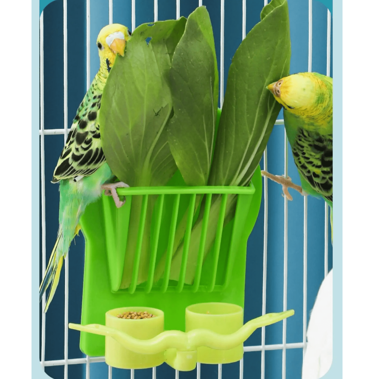 parrot-feeder-bird-feeding-bowl-anti-splash-anti-spill-suitable
