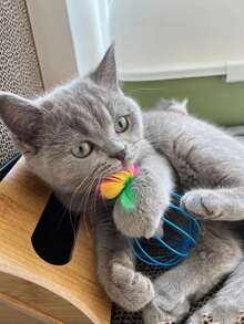 1 Thú Cưng Đồ Chơi Mèo Bóng Lồng Chuột Đồ Chơi Mèo Dây Bóng Đồ Chơi Thú Cưng Lồng Chuột - Nhiều màu - Xem 4