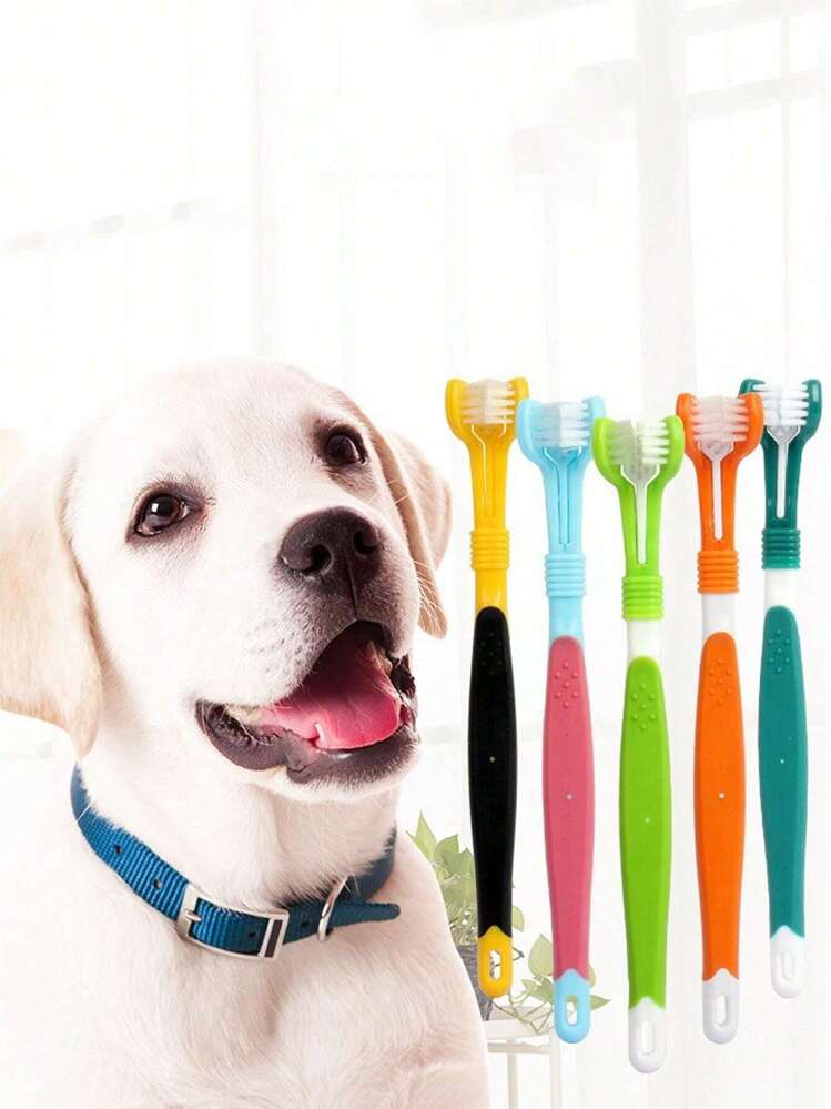 Bristle toothbrush for dogs online