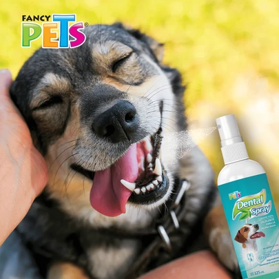Fancy Pets Spray Dental 125 Mililítros Anti Sarro para Perro