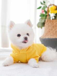 1 Miếng Chó nhỏ Giường đôi In Ấm áp Hoodie , Dễ thương , Thích hợp Đối với Mùa thu Và Mùa Đông , Các hoạt động ngoài trời - Nhiều màu - Xem 5