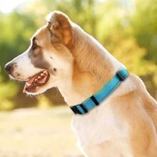 Pet Supplies Nylon Reflective Collar With Paw Prints, For Large, Medium And Small Dogs, Adjustable Size - Blue - View 8
