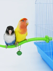 1pc Parrot Cage Bird Standing Stick The Birdcage Plastic Parakeet Accessories - Green - View 3