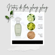 Jafra le moire de 50ml/ agua de tocador para Dama - Floral - Ver 3