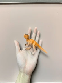 4入組中型逼真恐龍模型,包括暴龍、迅猛龍、三角龍和棘龍,可作為收藏裝飾、手工藝品或兒童教育玩具 - 彩色 - 查看 7