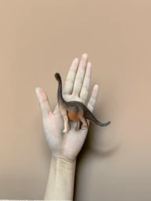 4入組中型逼真恐龍模型,包括暴龍、迅猛龍、三角龍和棘龍,可作為收藏裝飾、手工藝品或兒童教育玩具 - 彩色 - 查看 9