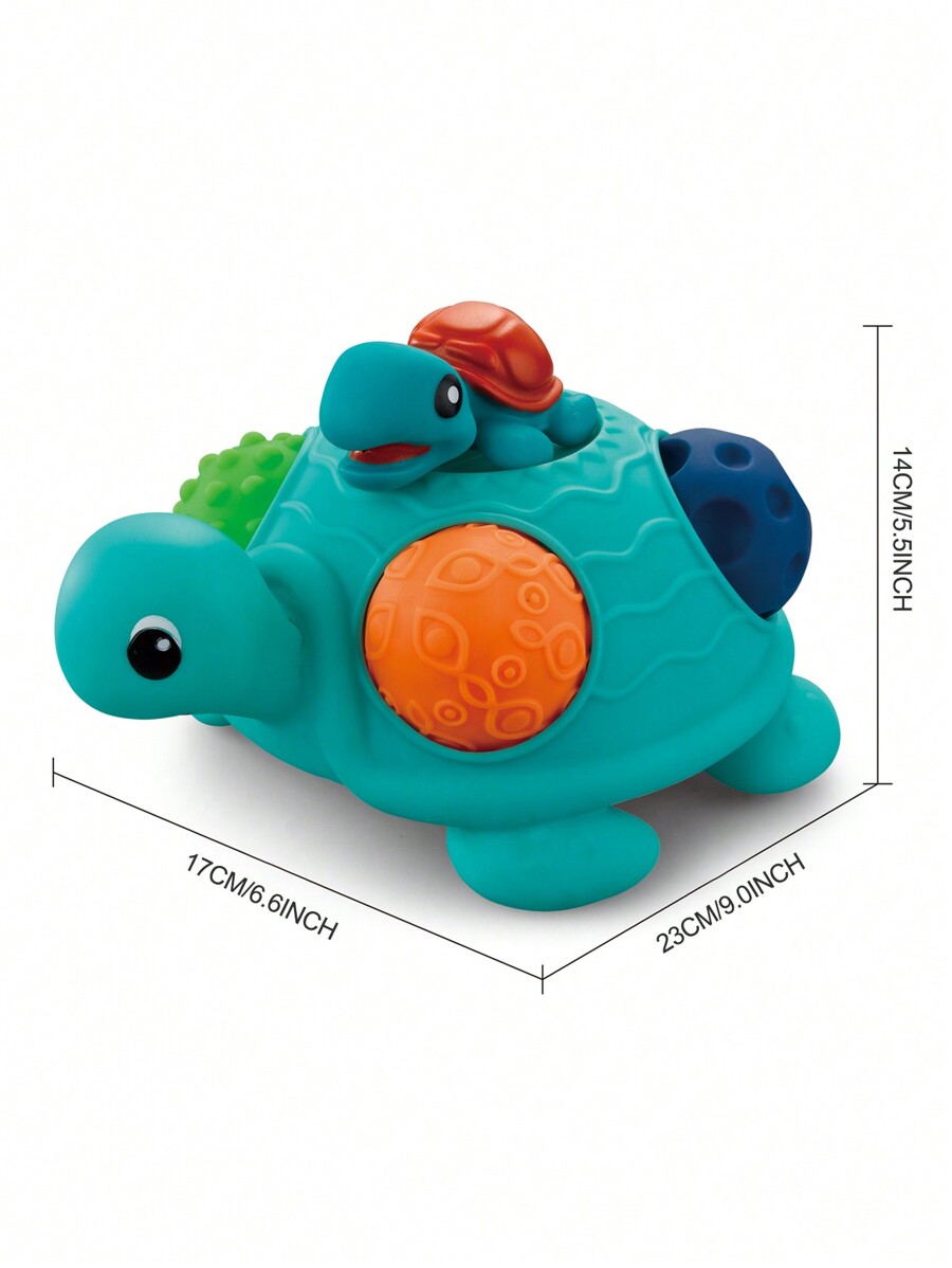 A Set Of Infant MultiSensory Toy Ball Turtle Shaped Money Box Set