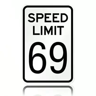 1 Stück, Neuartiges dekoratives Geschwindigkeitsbegrenzungsschild ‚69' – humorvolle und stilvolle Wandkunst für zeitgenössische Heimdekoration, originelle Ergänzung für Spielzimmer, Garage oder Loungebereich – Metallschild, verleiht jedem Raum eine heitere Note, einfach aufzuhängen, toller Gesprächsstarter, 12x18 Zoll