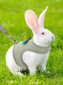 Supet 1 Set Of Fashionable Breathable Macaron Colored Pet Rabbit Harness And Leash, Suitable For Rabbits Under 4 Pounds - Green - View 6