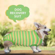 Pet Surgery Clothes To Protect Abdominal Wound After Operation In Dogs - Green - View 7