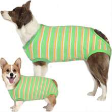Pet Surgery Clothes To Protect Abdominal Wound After Operation In Dogs - Green - View 1