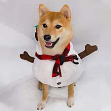 1 件白色涤纶雪人变形宠物夹克，适合中小型猫狗，冬季保暖服装，拍照道具 - 白色 - 查看 3