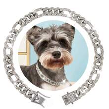 時尚鋅合金寵物項鍊 - 狗和貓項圈,全鑲水鑽,配大金鍊 - 銀色 - 查看 1