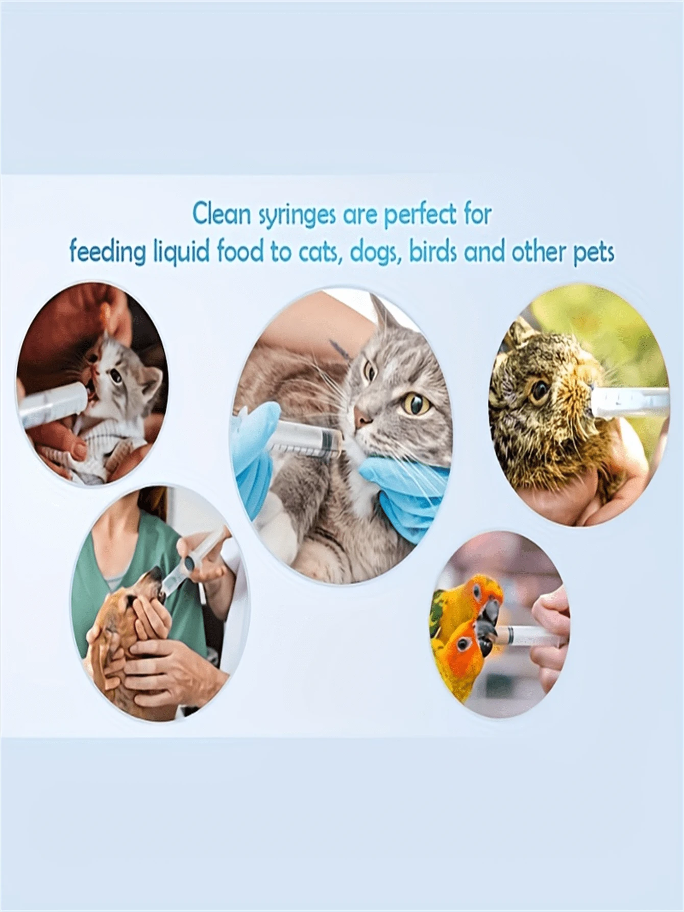 5 pcs needle free EasytoUse Pet Syringe for Liquid Medicine for Dogs