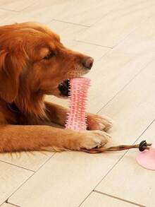 Pet Chew Toys - 粉色 - 查看 2