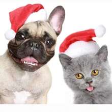 1 szt Czerwony Nowy Rok Kapelusz dla zwierząt , Pluszowy Czapka Dla Kot/pies Impreza świąteczna Dekoracje , Odpowiedni Dla Zwierzęta