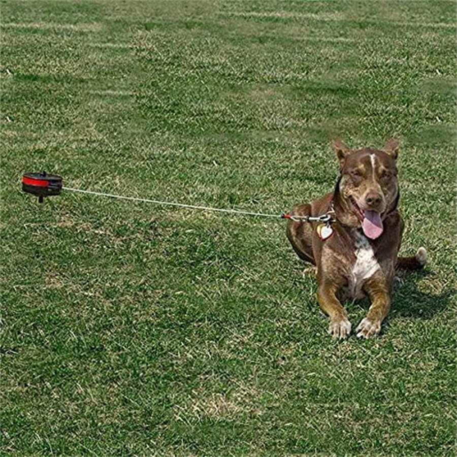 LOCHAS Bracket Mount and Stake Retractable Leash Tie Outs for Dogs