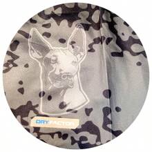 Xolos Tijuana Gray Jersey T-Shirt + Adult Soccer Shorts - Grey - View 2