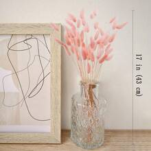 120 件乾蒲葦 17 英寸粉色花束浮誇兔子尾巴小花客廳家居婚禮佈置裝飾波西米亞農舍波西米亞非洲西南中性古董 復古法式鄉村小屋裝飾 - pampas-粉紅色 - 查看 2