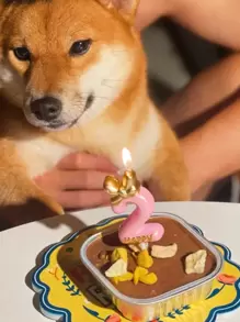 1pc Pink Bow Tie 0-9 Number Birthday Party Pet Decoration Candle,Christmas