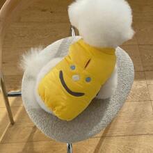 加厚的秋冬毛衣,配有表情設計,適用於小型和中型犬貓 - 灰色 - 查看 6