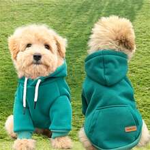 1pc New Dog Hoodie, Pet Sweatshirt With Pocket In The Back, For Small And Medium Dogs - Green - View 1