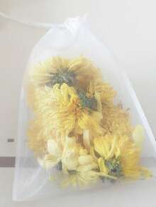 10pcs Disposable Tea Filter Bags With Drawstring For Loose Tea, Powder, 3d Pyramid Shape - White - View 5