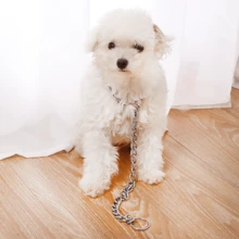 1pc Silver Q195 Carbon Steel Material Dog Collar For Middle And Small Sized Dogs And Cats, All Seasons Decoration - Silver - View 2