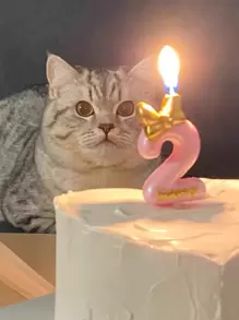 1pc Pink Bow Tie 0-9 Number Birthday Party Pet Decoration Candle,Christmas