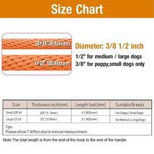 重責任狗繩,6英尺耐用尼龍寵物牽繩,堅固加厚手柄,中大型犬小狗訓練和散步必備 - 黑色 - 查看 2