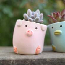 2 Miếng Gốm sứ Họa tiết động vật Cây Succulent Nồi Bộ , Xương rồng Hoa Người trồng  Thùng đựng hàng Với Rút mũ Lỗ Đối với Nhà  Bàn văn phòng Sân vườn Qủa tặng Creative , 2.7inch , Thực vật Không bao gồm - Nhiều màu - Xem 3