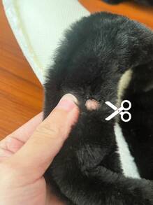 1 par de plantillas de recambio para zuecos, forro interior para zapatos con agujeros - Negro - Ver 5