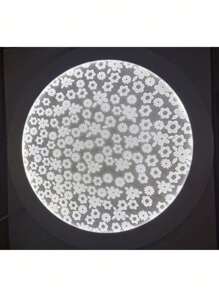 LED Bulbs - 冷白 - 查看 1