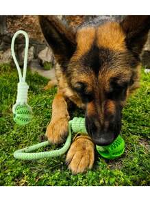 1pc Dog Toy Handheld Leakage Food Dispenser Ball Chew Resistant Rope Interactive Pet Dental Clean Toy Dog Supplies - Green - View 1