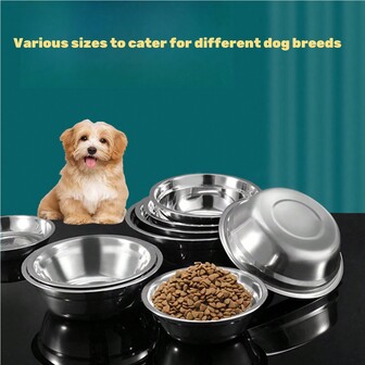 1入組不銹鋼寵物碗