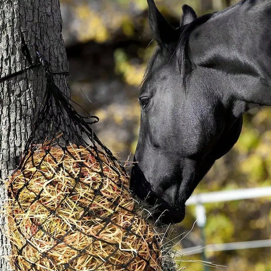 馬用ハイネット 牛馬用飼料袋 遅いフィードネット 馬に最適 SHEIN JAPAN