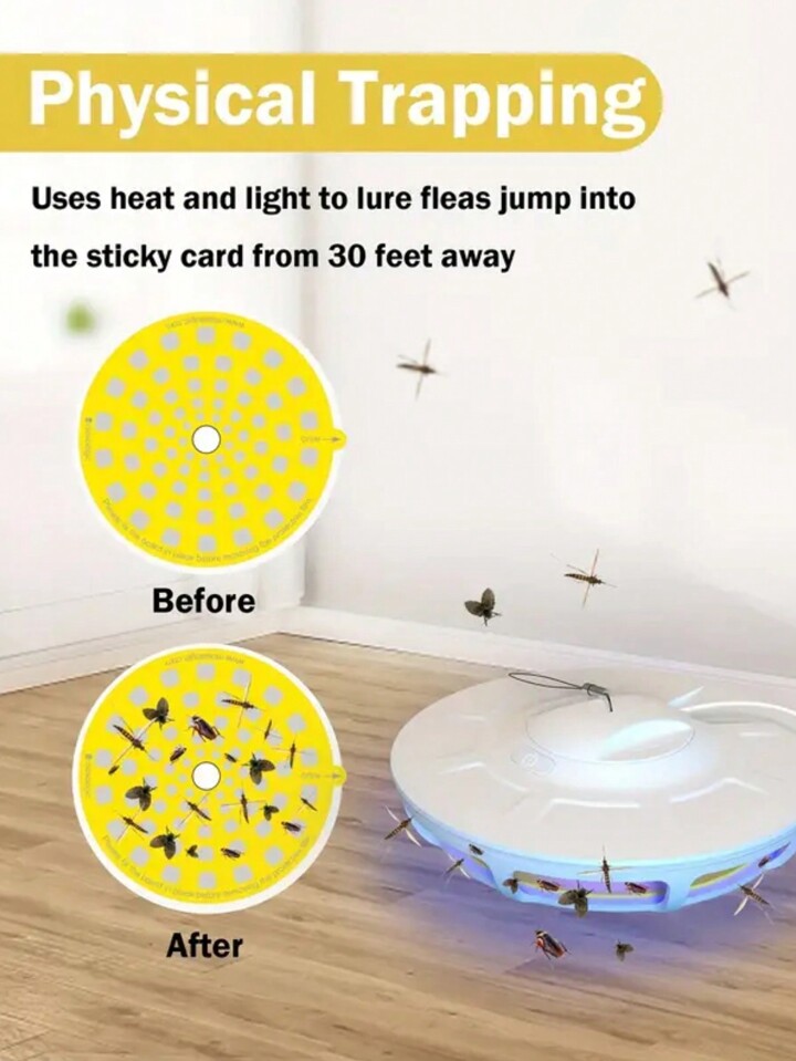 What Are Fleas Attracted To corona.dothome.co.kr