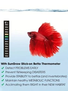 2pcs Fish Tank Thermometer Stick On, Aquarium Temperature Sticker Strip, Green & Blue Temperature Indicator, Amphibian And Reptile Thermometer Sticker - Black - View 2