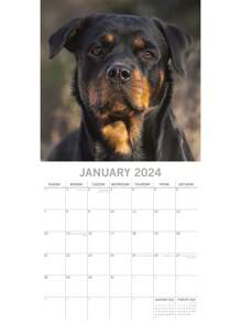 2024 Square Wall Calendar, Rottweiler, 16-Month Paw Prints Theme With 180 Reminder Stickers (12x12 In) - 彩色 - 查看 2