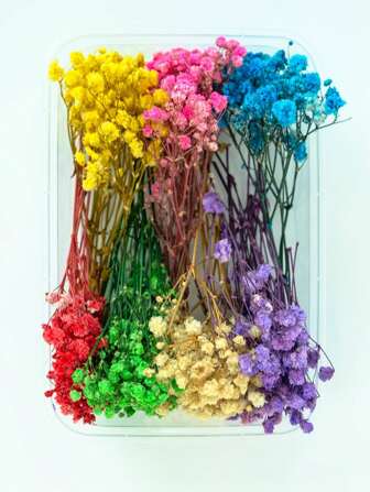 1 件彩色天然干花环氧树脂手工制作 DIY 花束、蜡烛制作、礼品盒和家居婚礼装饰、情人节、礼物