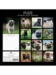 2024 Square Wall Calendar, Pugs, 16-Month Animals Theme With 180 Reminder Stickers (12 X 12 In) - Nhiều màu - Xem 4