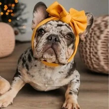 1pc Pet Bow Headband, Funny Accessory For Cat And Dogs' Dress Up - Multicolor - View 3