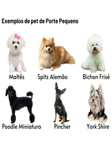 Pet Leashes - Màu tím hoa cà - Xem 5