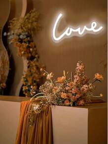 1pc Love Neon Light Sign With Nail Hook, Chain, Pink & Cold White Colors, Soft Indoor Background Decor Lamp With Usb Plug, Suitable For Room, Shop, Home & Wedding Decoration - Cold White - View 1