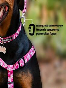 Pet Leashes - Màu tím hoa cà - Xem 3